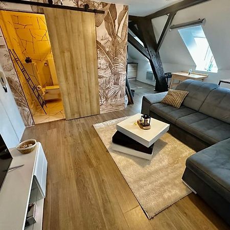 Logement Entier Au Coeur De Strasbourg Eksteriør bilde