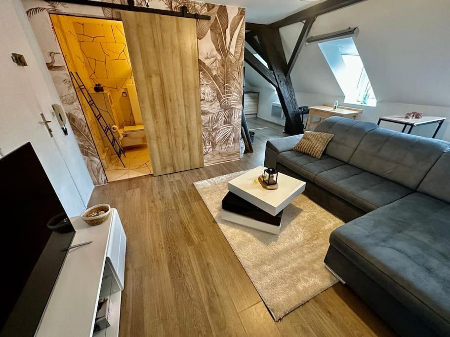 Logement Entier Au Coeur De Strasbourg Eksteriør bilde
